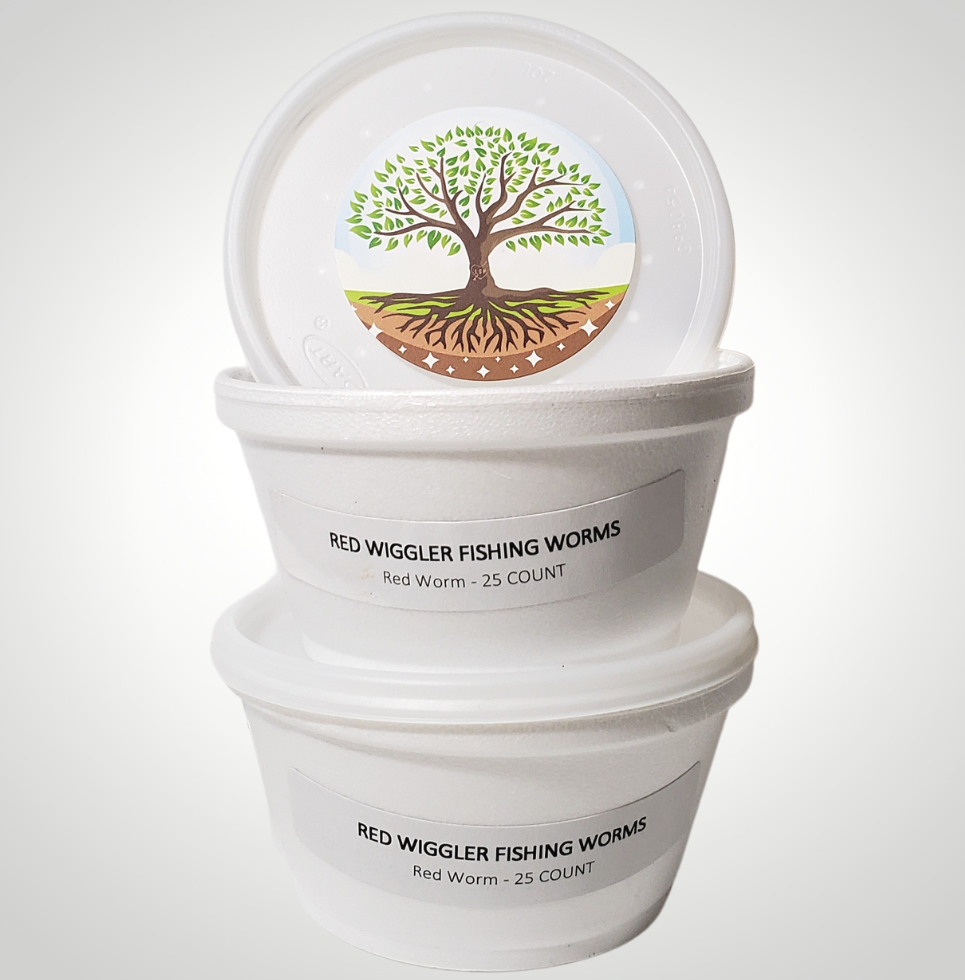 Red Wiggler Fishing Worms Living Soil Productions